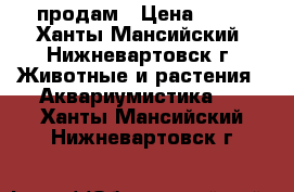 продам › Цена ­ 50 - Ханты-Мансийский, Нижневартовск г. Животные и растения » Аквариумистика   . Ханты-Мансийский,Нижневартовск г.